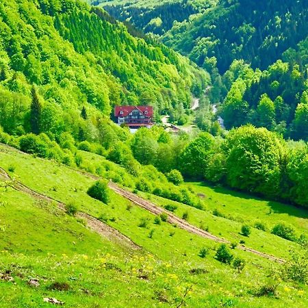 Cabana Izvoarele Doftanei Trăisteni Eksteriør bilde